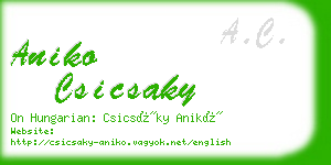 aniko csicsaky business card